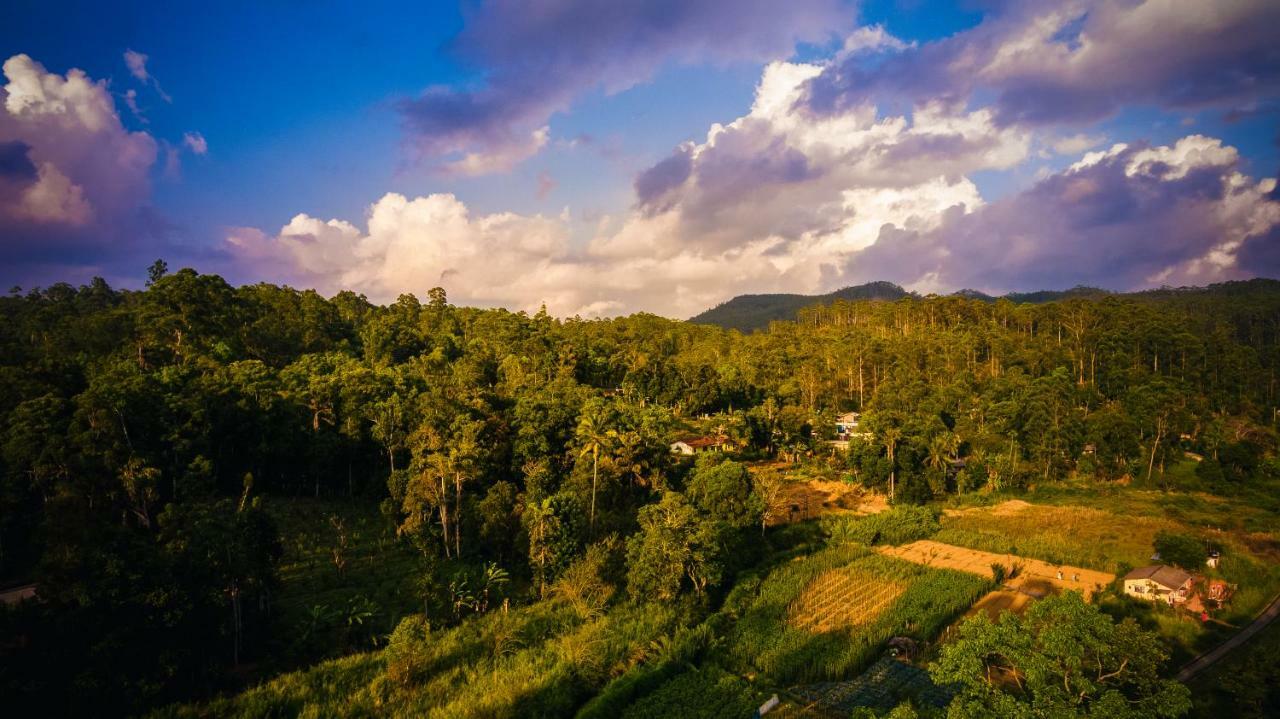 Ella Breeze Homestay Ngoại thất bức ảnh