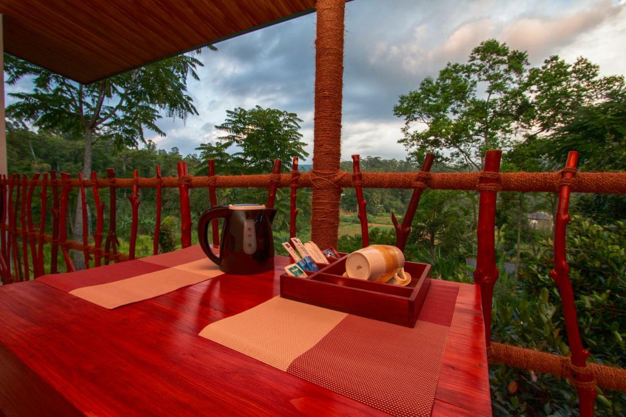Ella Breeze Homestay Ngoại thất bức ảnh